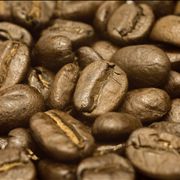 Picture Of Coffee Beans At Close