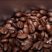 Picture Of Fresh Roasted Coffee Beans