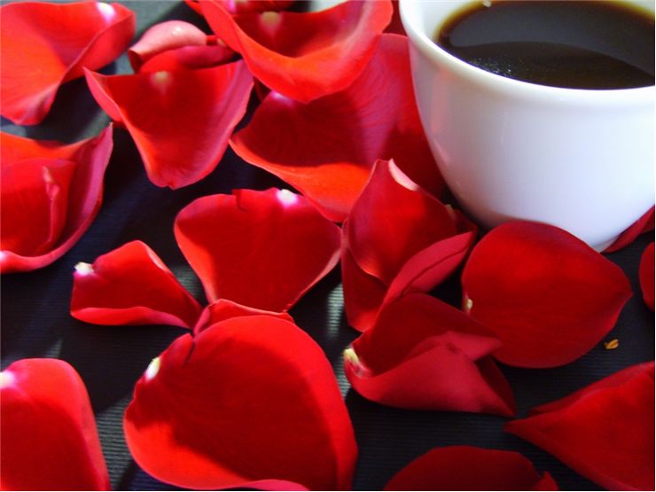 Picture Of Rose Petals And Cup Of Coffee